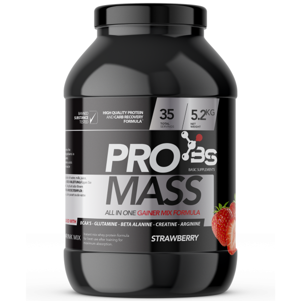 PRO MASS / 5200GR - BASIC SUPPLEMENTS