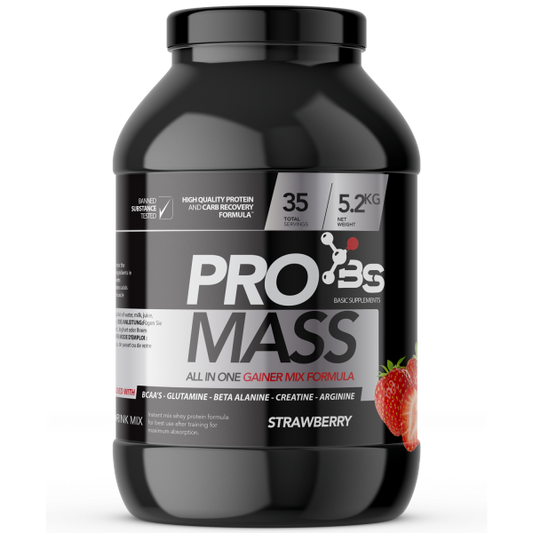 PRO MASS / 5200GR - BASIC SUPPLEMENTS